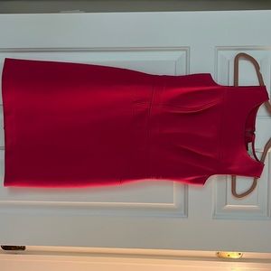 Loft petite hot pink dress with exposed zipper